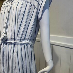Striped Blue and White Women's Dress